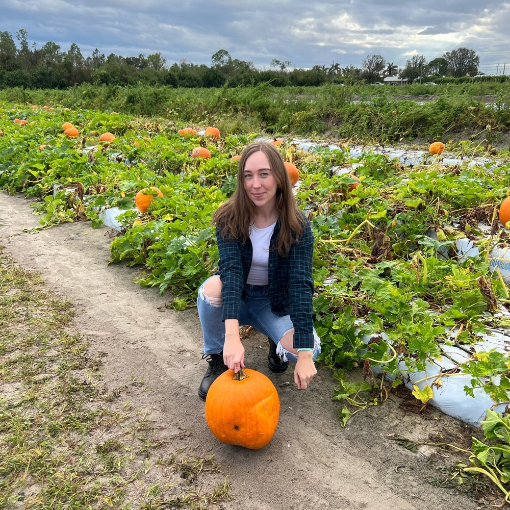 Meet your Posher, Masha